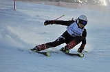 FOLGARIA GS 30-01-2010